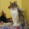 Отзыв от Алена Трифонова